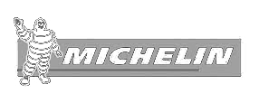 MICHELIN